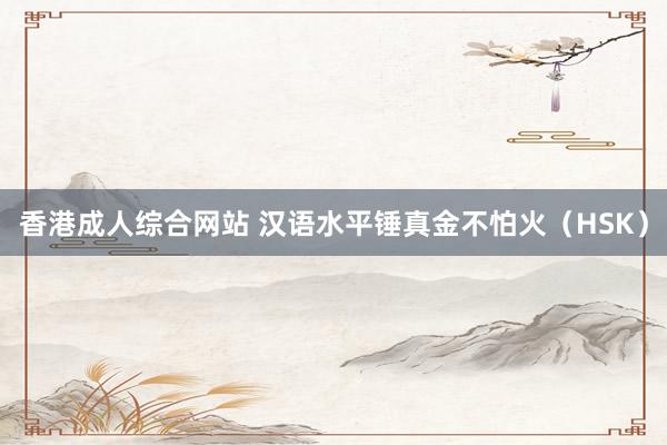 香港成人综合网站 汉语水平锤真金不怕火（HSK）
