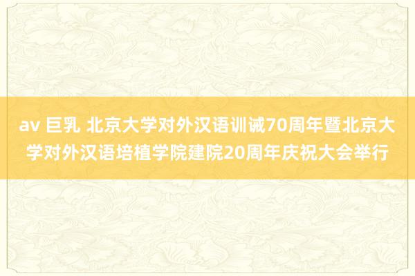 av 巨乳 北京大学对外汉语训诫70周年暨北京大学对外汉语培植学院建院20周年庆祝大会举行