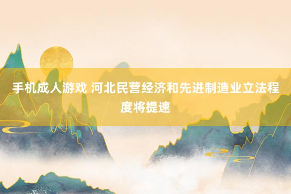 手机成人游戏 河北民营经济和先进制造业立法程度将提速