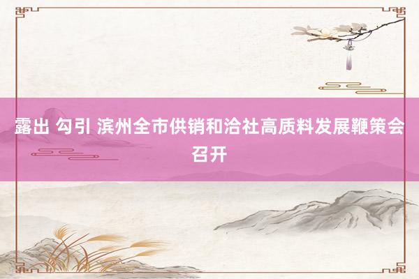露出 勾引 滨州全市供销和洽社高质料发展鞭策会召开