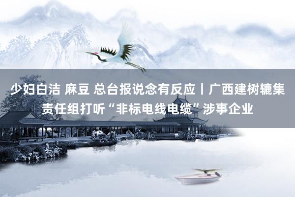 少妇白洁 麻豆 总台报说念有反应丨广西建树辘集责任组打听“非标电线电缆”涉事企业