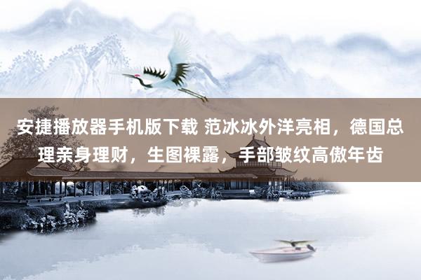 安捷播放器手机版下载 范冰冰外洋亮相，德国总理亲身理财，生图裸露，手部皱纹高傲年齿