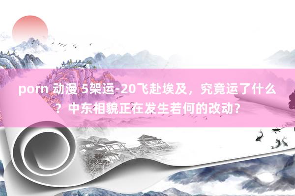 porn 动漫 5架运-20飞赴埃及，究竟运了什么？中东相貌正在发生若何的改动？