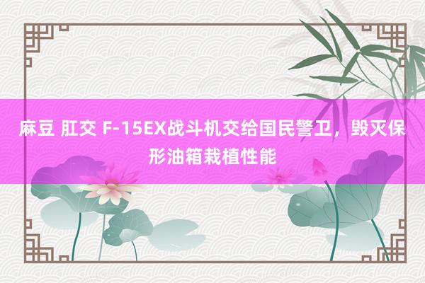麻豆 肛交 F-15EX战斗机交给国民警卫，毁灭保形油箱栽植性能