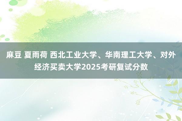 麻豆 夏雨荷 西北工业大学、华南理工大学、对外经济买卖大学2025考研复试分数