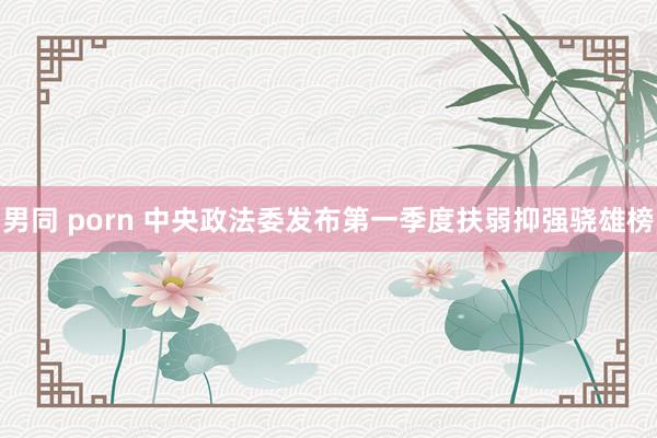 男同 porn 中央政法委发布第一季度扶弱抑强骁雄榜