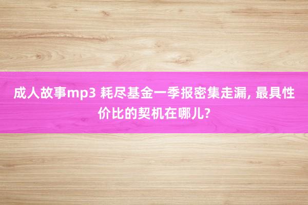 成人故事mp3 耗尽基金一季报密集走漏, 最具性价比的契机在哪儿?