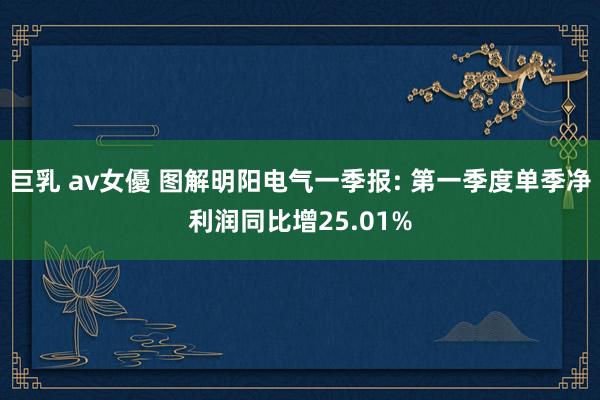 巨乳 av女優 图解明阳电气一季报: 第一季度单季净利润同比增25.01%