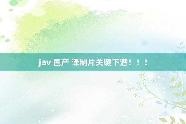jav 国产 译制片关键下潜！！！