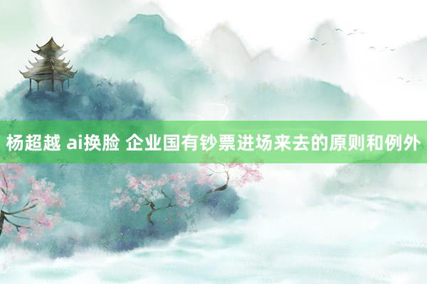杨超越 ai换脸 企业国有钞票进场来去的原则和例外